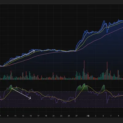 [33기 2주차] RSI 강한 추세장인 경우 