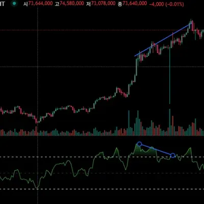 30일 챌린지 9기 2차 미션 다이버전스