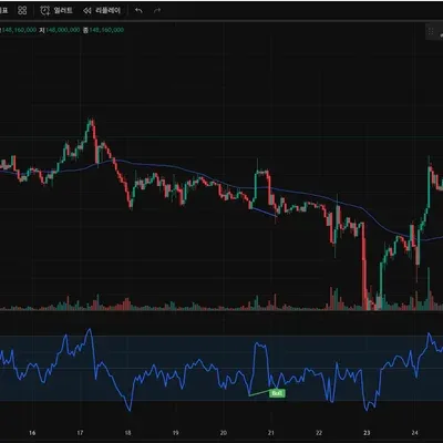 30일 챌린지 9기 2차 미션 다이버전스일 