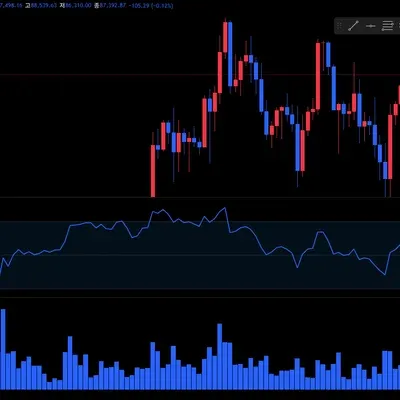 [30일 챌린지 33기 2주차] RSI 지표