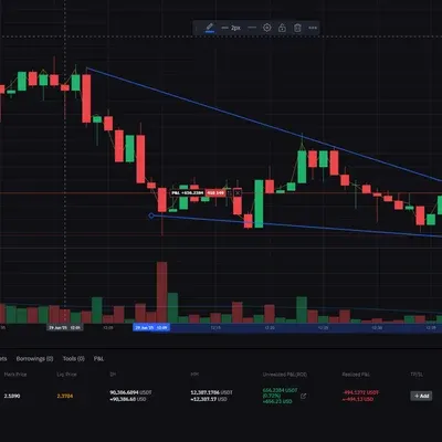 [30일 챌린지 31기 4주차]