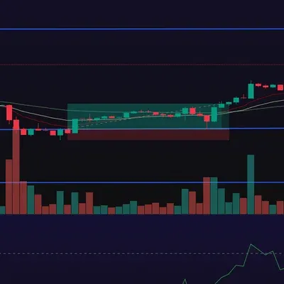 [30일 챌린지 7기 4주차]