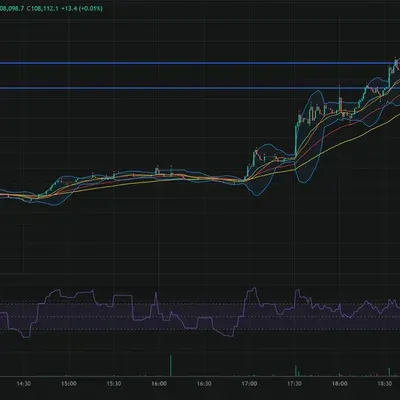 30일챌린지 33기 2주차 미션