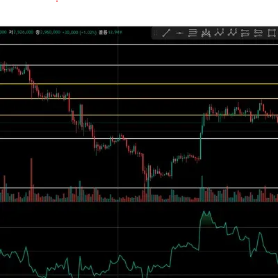 [30일 챌린지 7기 4주차]