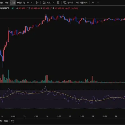 [30일 챌린지 33기 2주차] rsi지표 추가