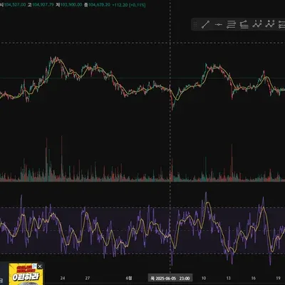 30일 챌린지 33기 2주차 RSI