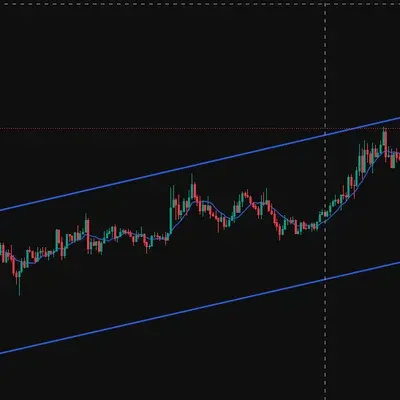[30일 챌린지 32기 3주차]