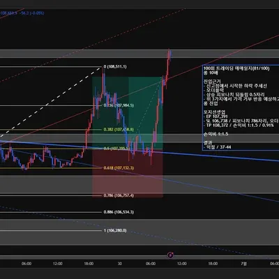 100회 트레이딩 매매일지(81/100)
