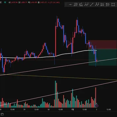 100회 트레이딩 3/100