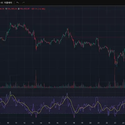 [30일 챌린지 33기 2주차] RSI 
