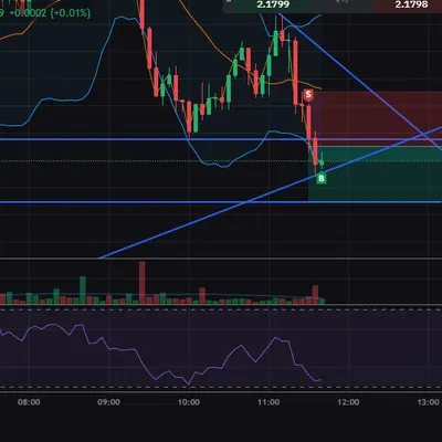 100회 트레이딩 5/100