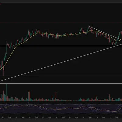 [30일 챌린지 34기 1주차] 지지저항과 추세선 1시간봉