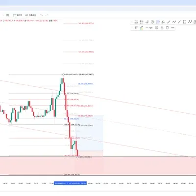 100회 트레이딩 매매일지(1/100)