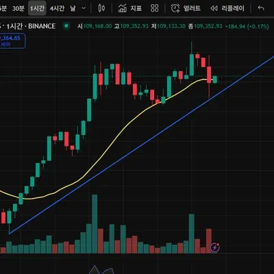 [30일 챌린지 34기 1주차] 트레이딩뷰 작도