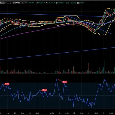 [30일 챌린지 10기 1주차] 트레이딩뷰 셋업입니다