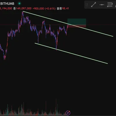 [30일 챌린지 8기 4주차]