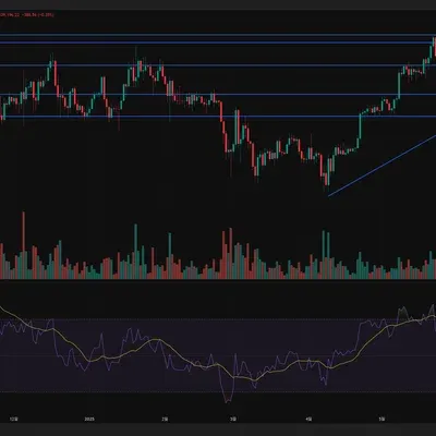 [30일 챌린지 34기] BTCUSDT 1일봉 지지선, 저항선과 추세선
