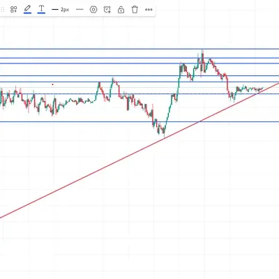 30일챌린지 34기 1주차 1시간봉 캔들 작도