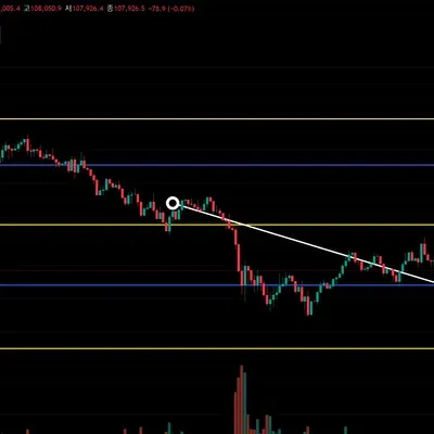 [30일 챌린지 8기 4주차]