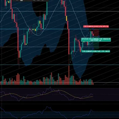 [30일 챌린지 8기 4주차]