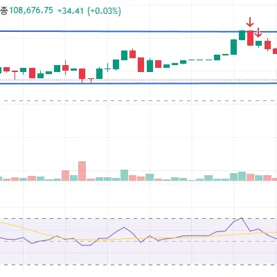 [30일 챌린지 33기 3주차] 모의트레이딩 수익인증