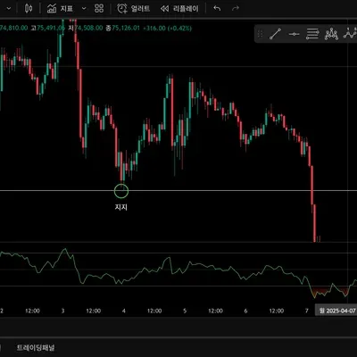 [30일 챌린지 34기 1주차] 지지 저항과 추세선 작도