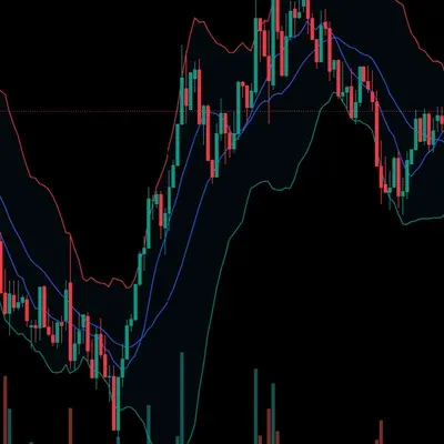 [30일 챌린기 10기 1주차] 4일차 미션_ BornReday
