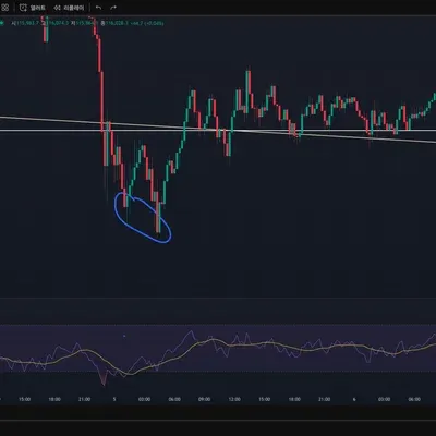 [30일 챌린지 10기 11일차] RSI 다이버전스 