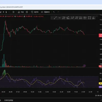 [30일 챌린지 34기 2주차] 트레이딩 뷰에 rsi 지표 추가