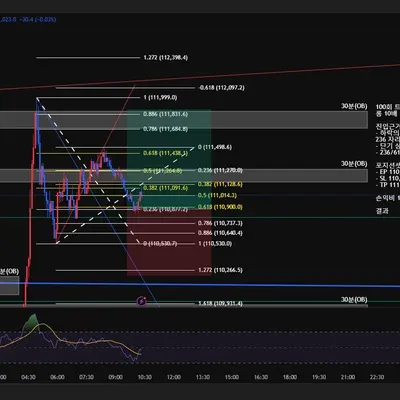 100회 트레이딩 매매일지(87/100)