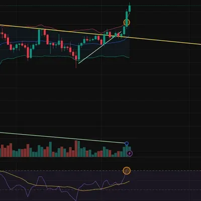 [30일 챌린지 33기 4주차] 모의 트레이딩