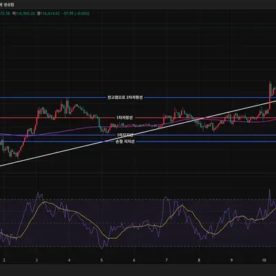 30일 챌린지 34기 2주차