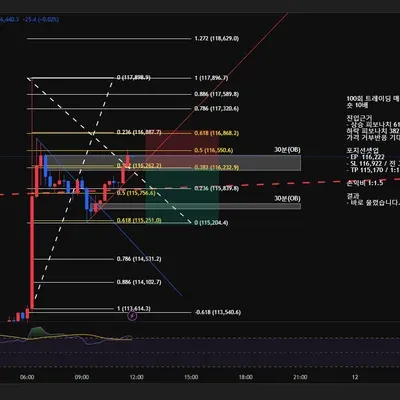 100회 트레이딩 매매일지(88/100)