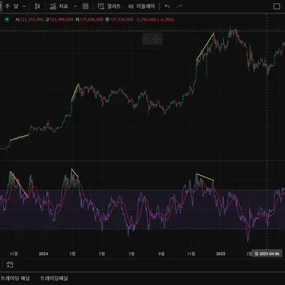 [30일 챌린지 10기 11일차]다이버전스
