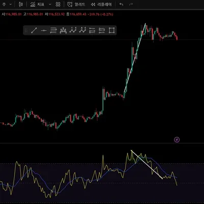 [30일 챌린지 10기 2주차 미션] 다이버전스