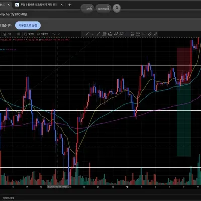 [30일 챌린지 33기 4주차] 뇌동매매의 표본 ㄷ ㄷ ㄷ