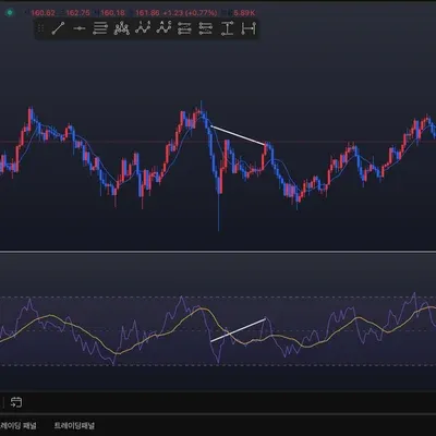[30일 챌린지 10기 11일차] RSI 다이버전스 찾기
