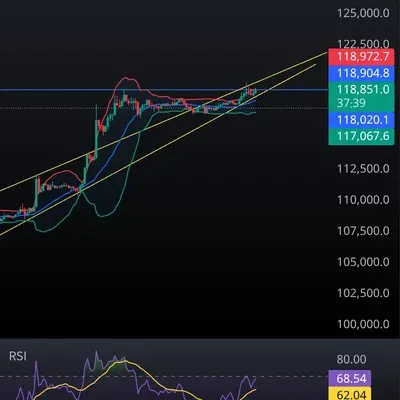 30일 챌린지 34기 2주차