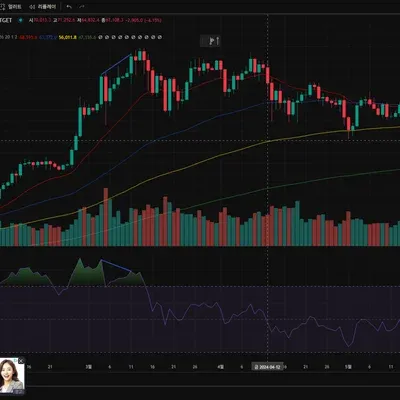 [30일 챌린지 10기 11일차] 다이버전스 구간 확인하기