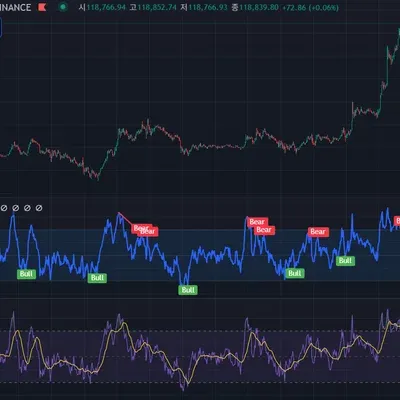 [30일 챌린지 10기 11일차] 다이버전스 구간 확인하기