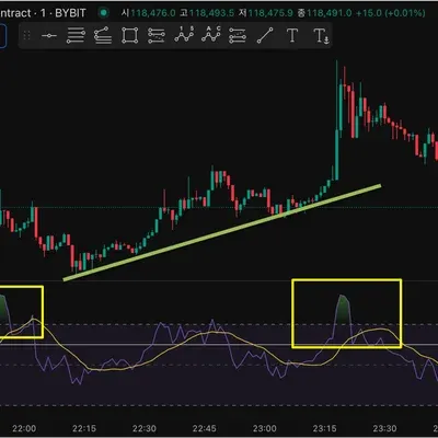 [30일 챌린지 10기 11일차] 다이버전스 구간 확인하기
