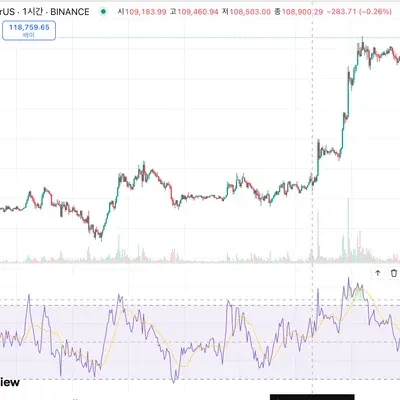 [30일 챌린지 34기 2주차]  RSI 지표