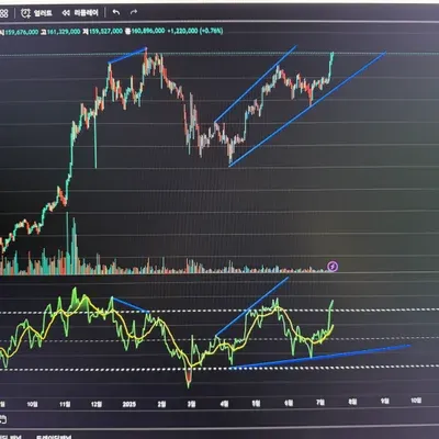 30일 챌린지 10기 11일차 다이버전스 연습