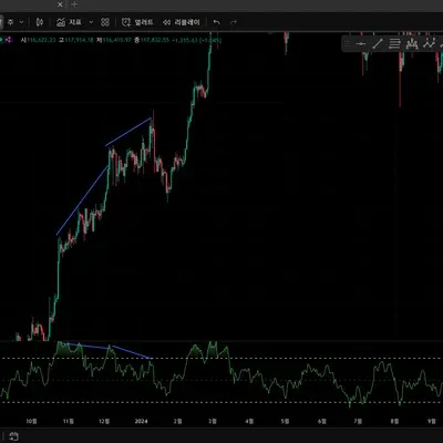 [30일 챌린지 10기 11일차] 다이버전스