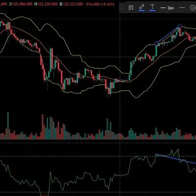 [30일 챌린지 10기 11일차] 다이버전스