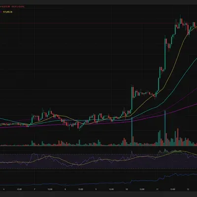 [30일 챌린지 34기 2주차] RSI 지표 추가