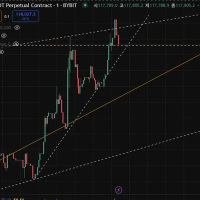 [30일 챌린지 33기 4주차]