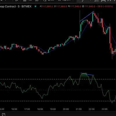 [30일 챌린지 2주차]