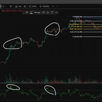 [30일 챌린지 10기 11일차] 다이버전스 찾기