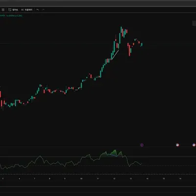 [30일 챌린지 10기 11일차] RSI 다이버전스